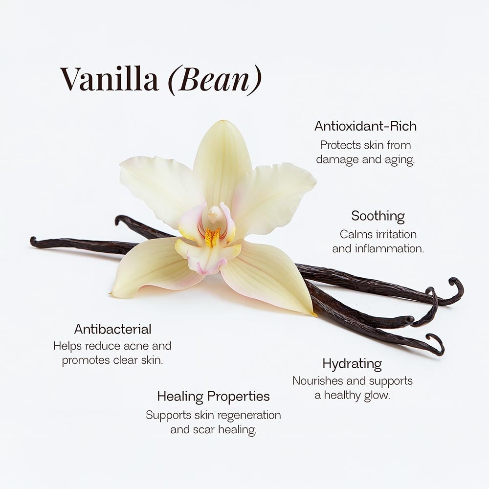 Golden Whip — Vanilla Tallow Balm