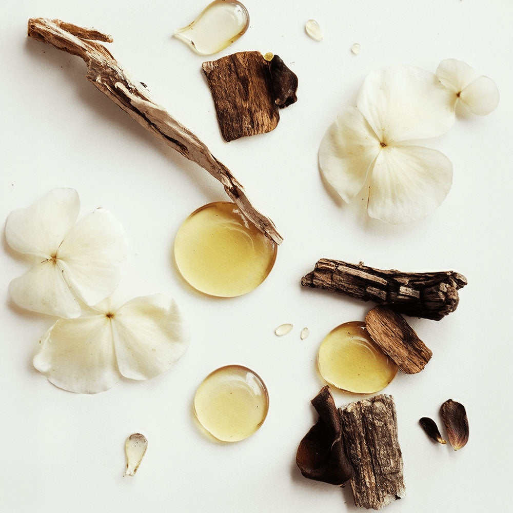 Golden Whip — Vanilla Tallow Balm