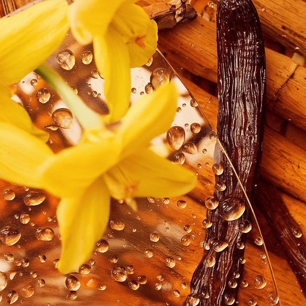 Golden Whip — Vanilla Tallow Balm