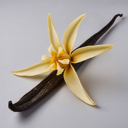 Golden Whip — Vanilla Tallow Balm