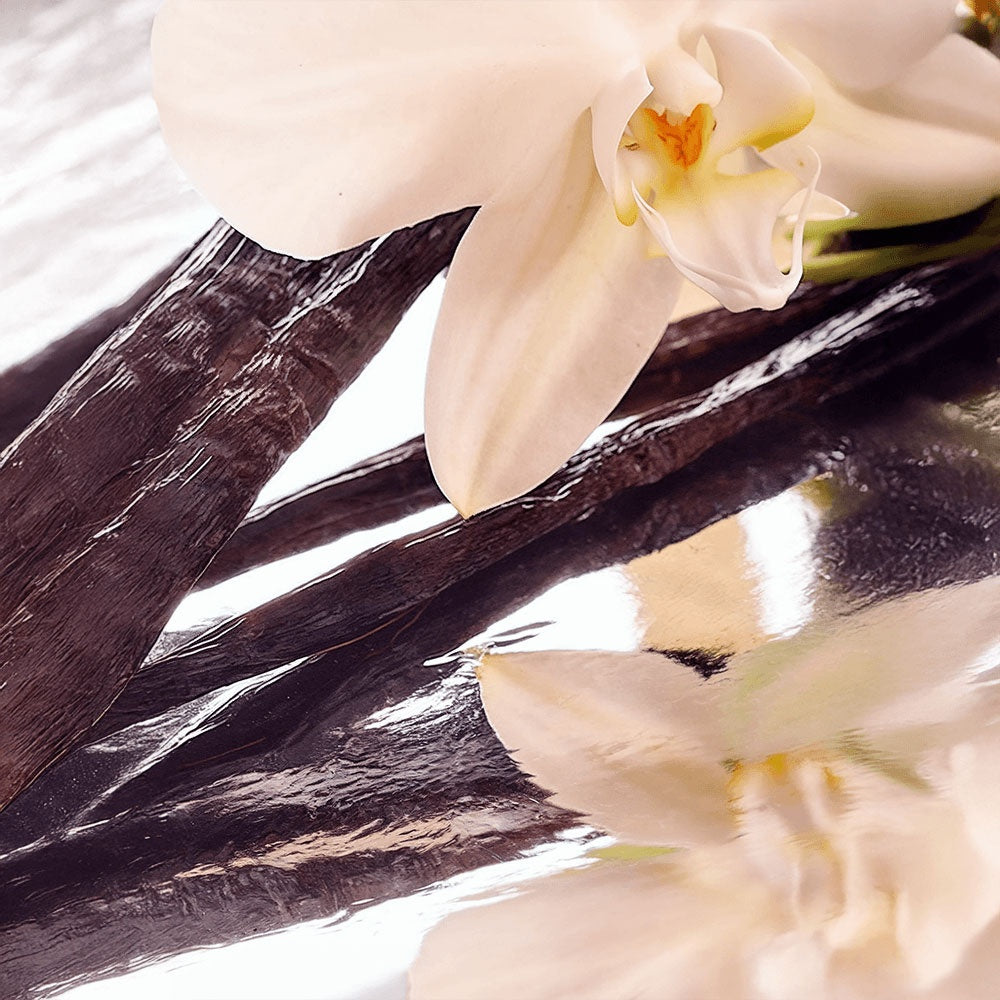 Golden Whip — Vanilla Tallow Balm